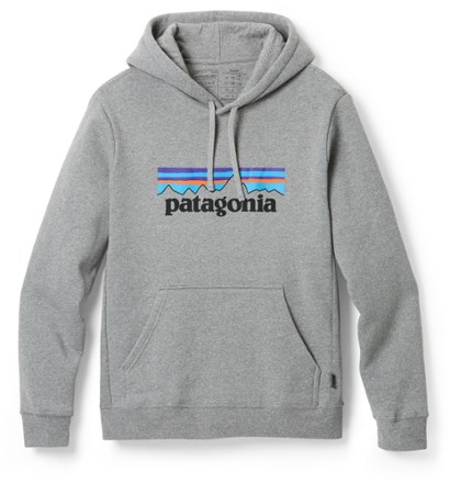 Rei patagonia pullover on sale