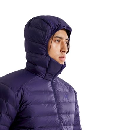 Arc'teryx Cerium Down Hoody - Men's 5