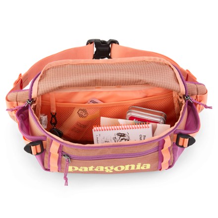 Patagonia Black Hole Waist Pack 5 L 3