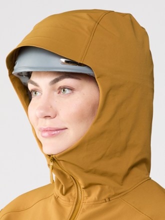 Arc'teryx Gamma Hoodie - Women's 4