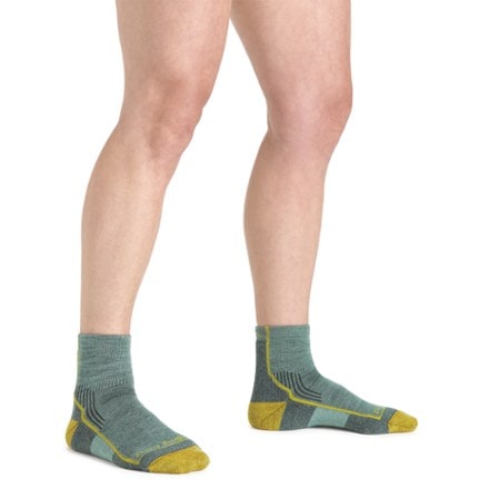 Darn Tough Hiker Quarter Cushion Socks - Women's 1