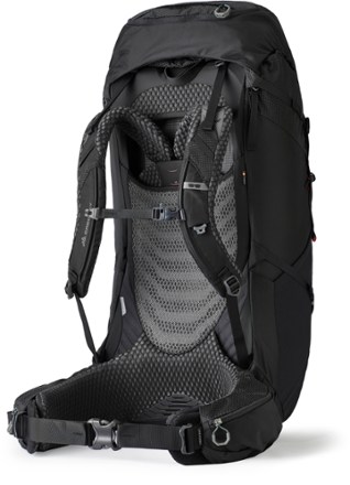 Gregory Baltoro 100 Pro Pack - Men's 1