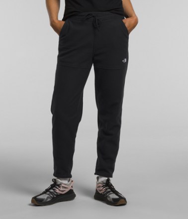 The North Face Size W Large Women's Fleece Pants – Rambleraven