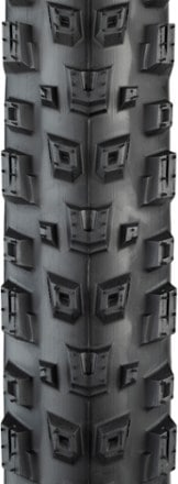 Teravail Warwick Ultra Durable Tire 1