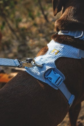 Ruffwear Front Range Flex Leash 6