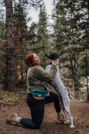 Wilderdog Dog Walking Utility Pack 1