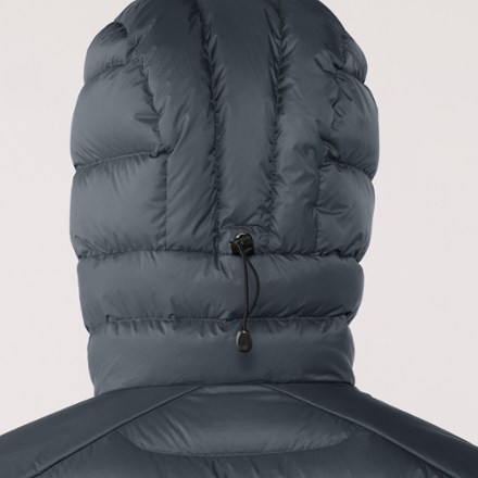 Arc'teryx Cerium Down Hoody - Women's 5