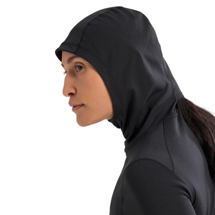 Arc'teryx Taema Thermal Hoody - Women's 5