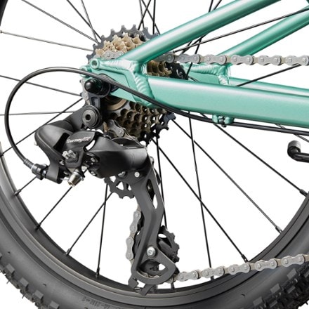 Cannondale Trail 20 Kids' Bike 3