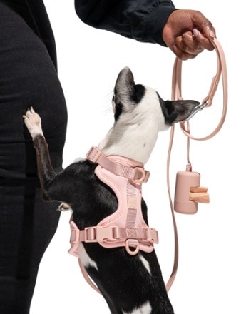 Wild One Dog Harness Leash and poop bag carrier not included