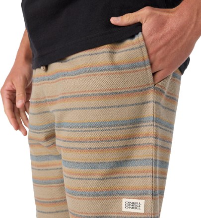 O'Neill Bavaro Stripe Shorts - Men's 3