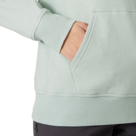 Helly Hansen Nord Graphic Pullover Hoodie - Women's 5