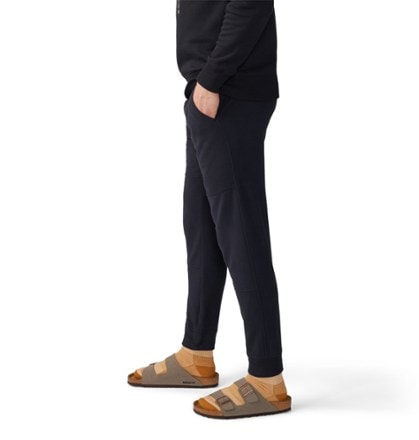 Mountain Hardwear Microchill Joggers - Men's 5