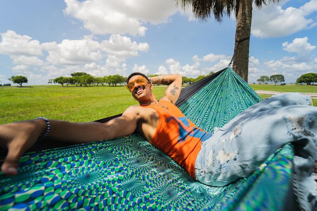 Location Image for DoubleNest Hammock - Print