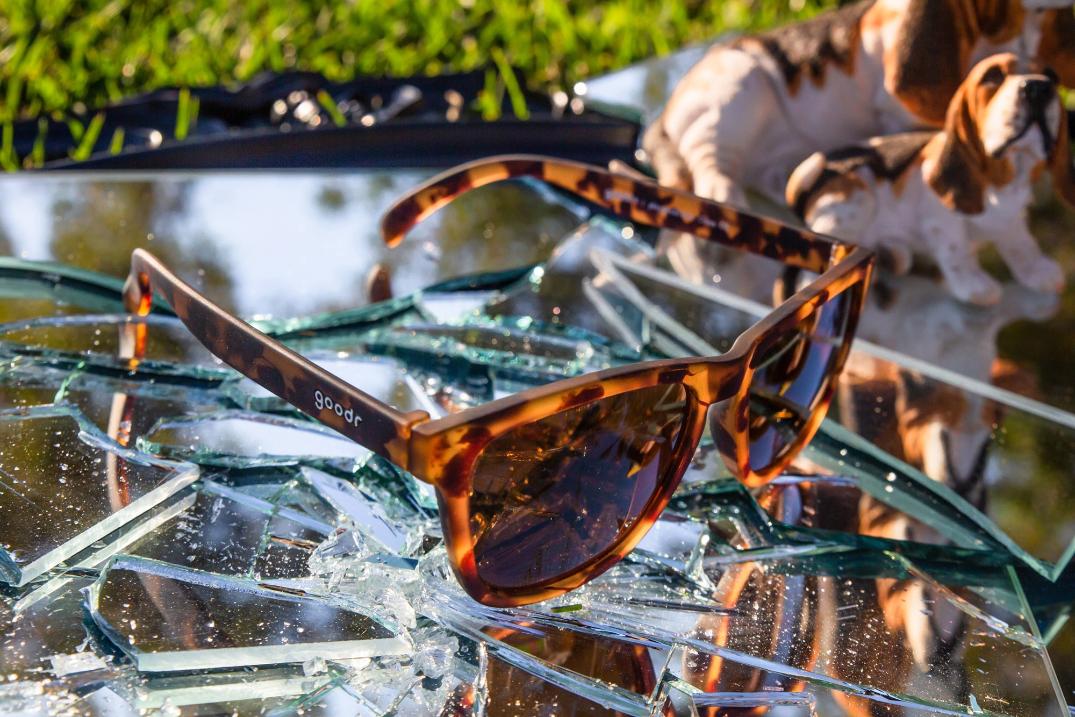 Location Image for OGs Polarized Sunglasses