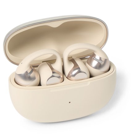 Shokz OpenDots ONE Open-Ear True Wireless Earbuds 5