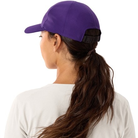 Arc'teryx Bird Word Cap 3