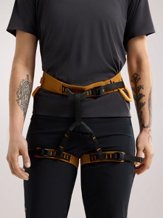 Arc'teryx AR-385a Harness - Women's 1