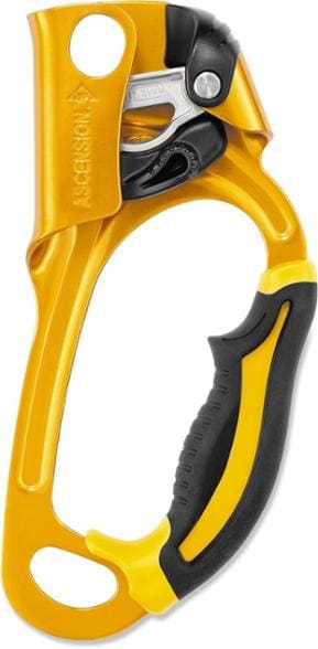 Product Image of color Gold