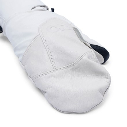 Outdoor Research Team GORE-TEX Mittens 1