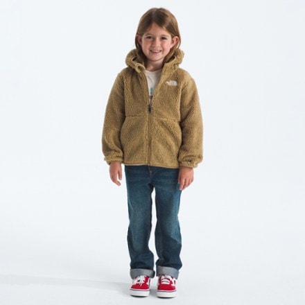 The North Face Campshire Full-Zip Hoodie - Toddlers' 3