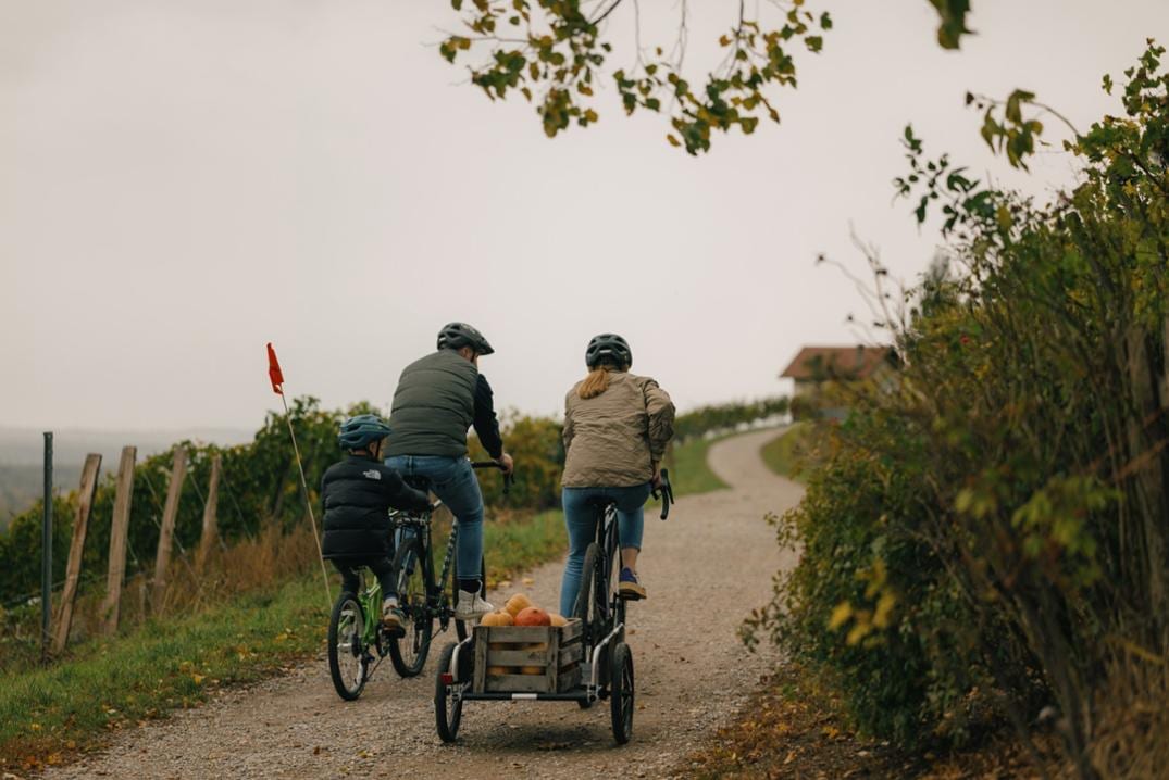 Location Image for Piccolo Trailer Bike