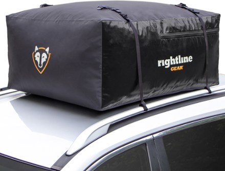 Travel case for online car roof