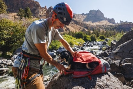 Ruffwear Hitch Hiker Dog Pack 3