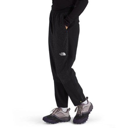 The North Face Winter Warm Pro Pants - Women's 4