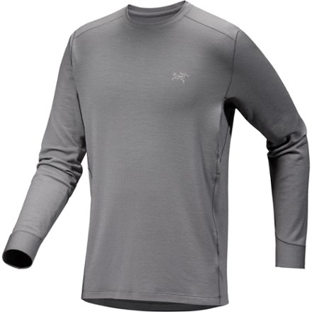 Arc'teryx Men's Rho Merino Wool Crew Neck Base Layer Top