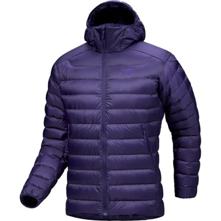 Arc'teryx Cerium Down Hoody - Men's 0