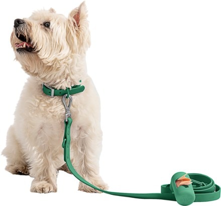 Wild One Waterproof Dog Collar Leash and poop bag carrier not included