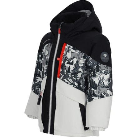 Obermeyer Altair Insulated Jacket - Kids' 5