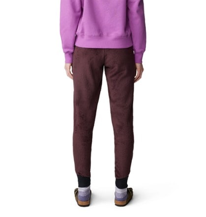 Mountain Hardwear Polartec High Loft Pants - Women's 2
