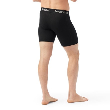 Smartwool Wind Boxer Briefs - Men's 2