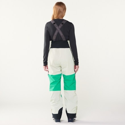 Picture Organic Clothing Elwy Bib Snow Pants - Women's 2