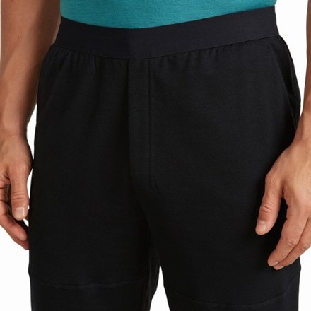 Icebreaker Merino Blend 300 RealFleece Descender Joggers - Men's 3