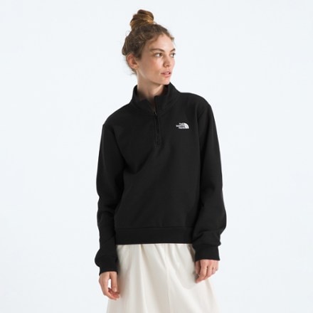 The North Face Evolution Simple Dome Quarter-Zip Pullover - Women's 0