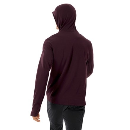 Arc'teryx Cormac Heavyweight Hoodie - Men's 2