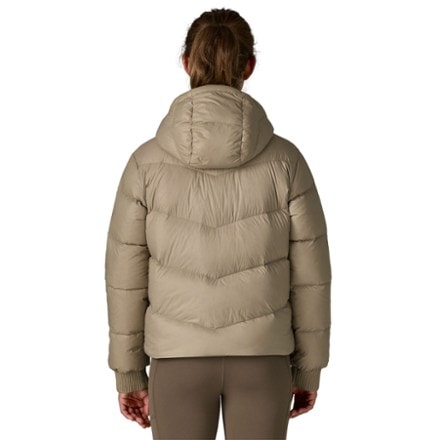 Patagonia Sindit Down Hoody - Women's 2