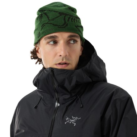 Arc'teryx Bird Head Toque Beanie 4