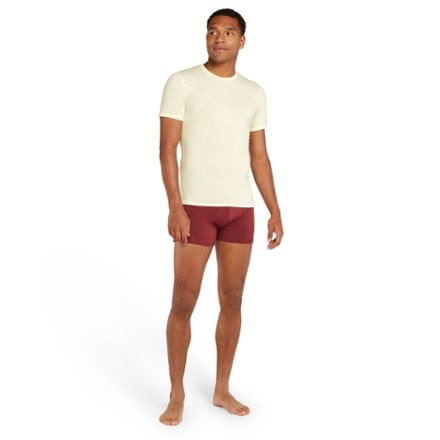 Icebreaker 150 Anatomica Crewe Base Layer Top - Men's 2