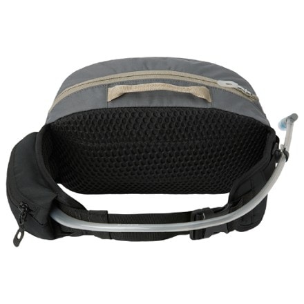 DAKINE Hot Laps 5 L Hip Pack 1