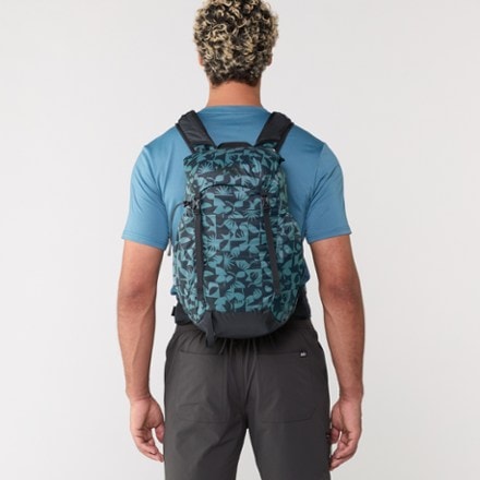 REI Co-op Flash 22 Print Pack 1