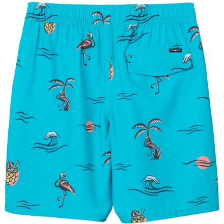 O'Neill Hermosa Crew 16" Swim Trunks - Kids' 4