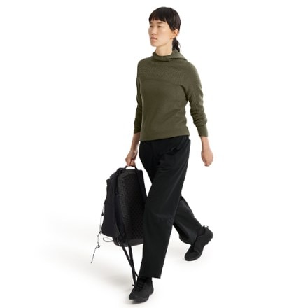 Arc'teryx Hallam Merino Wool Hoody - Women's 3