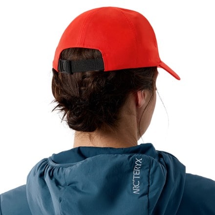 Arc'teryx Bird Word Cap 3