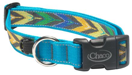 patagonia dog collar