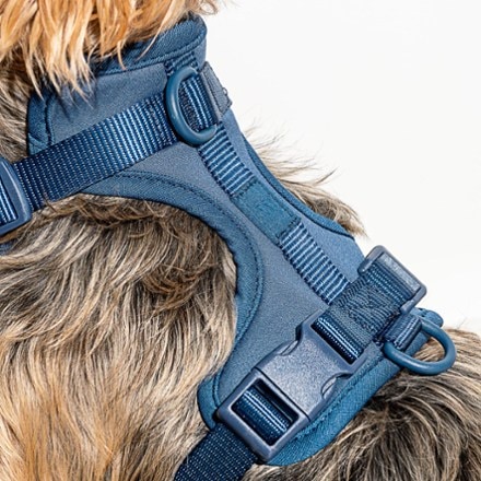 Wild One Dog Harness 4