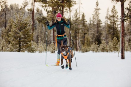 Rei best sale dog shoes